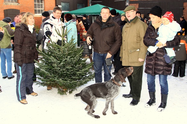 Weihnachtsbaeume   041.jpg
